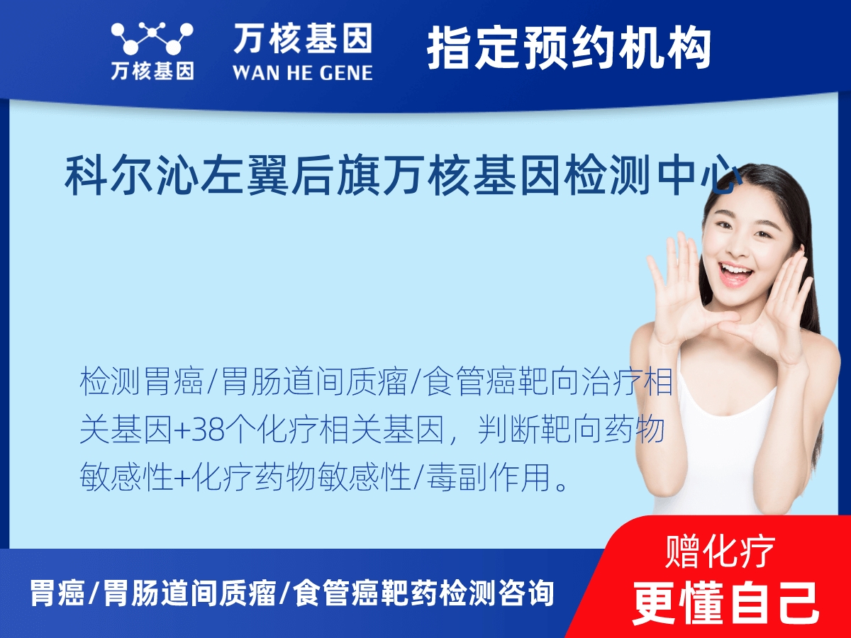 胃癌/胃腸道間質(zhì)瘤/食管癌靶藥25基因+PD-L1+MSI檢測 胃癌/胃腸道間質(zhì)瘤/食管癌靶藥25基因+PD-L1+MSI檢測