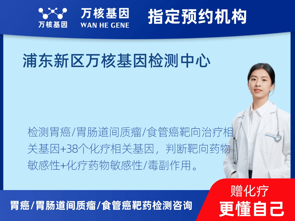 胃癌/胃腸道間質(zhì)瘤/食管癌靶藥25基因檢測(cè)