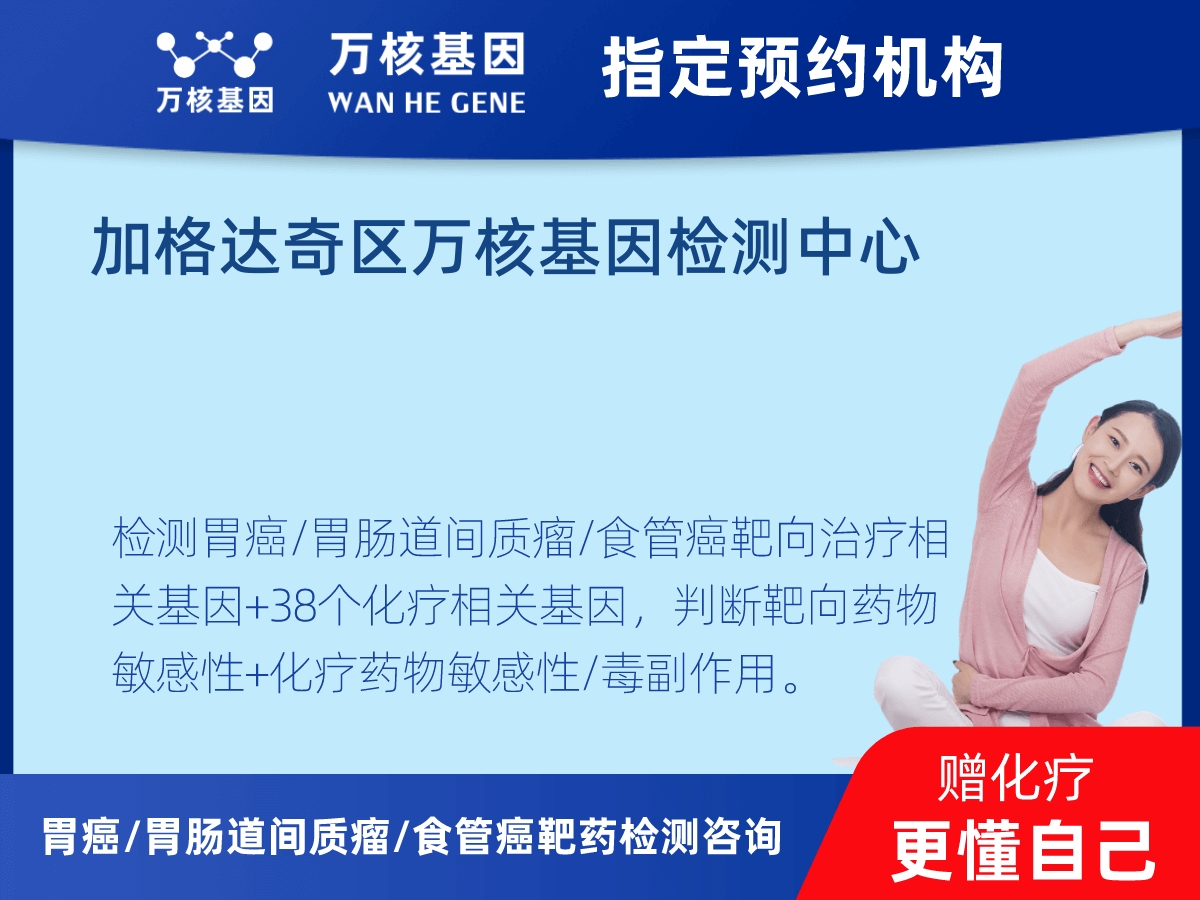 胃癌/胃腸道間質(zhì)瘤/食管癌靶藥51基因檢測(cè)