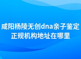 咸陽楊陵做無創(chuàng)dna親子鑒定中心在哪兒